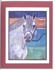 Click Here to View our Animal Cards!