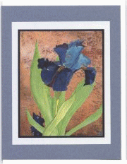 Click Here to View our Floral Cards!