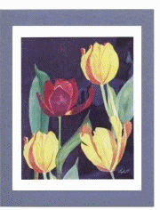 Click Here to View our Tulip Cards!