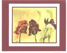 Click Here To View and Order This Card!