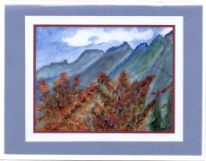 Click Here To View and Order This Card!