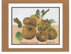 Click Here To View and Order This Card!