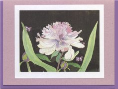 Click Here To View and Order This Card!