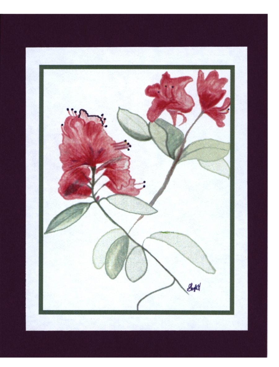 To Order this card Click 'Add to Cart' Button