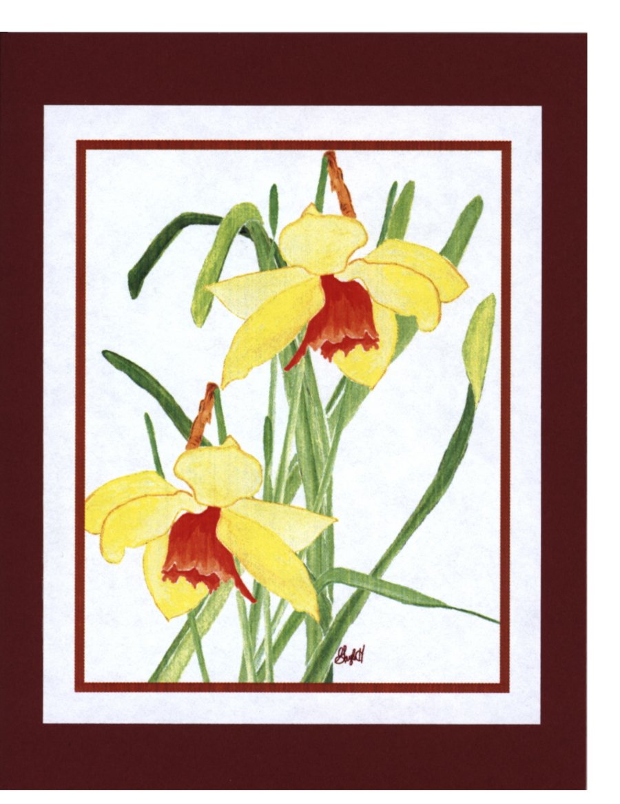 To Order this card Click 'Add to Cart' Button