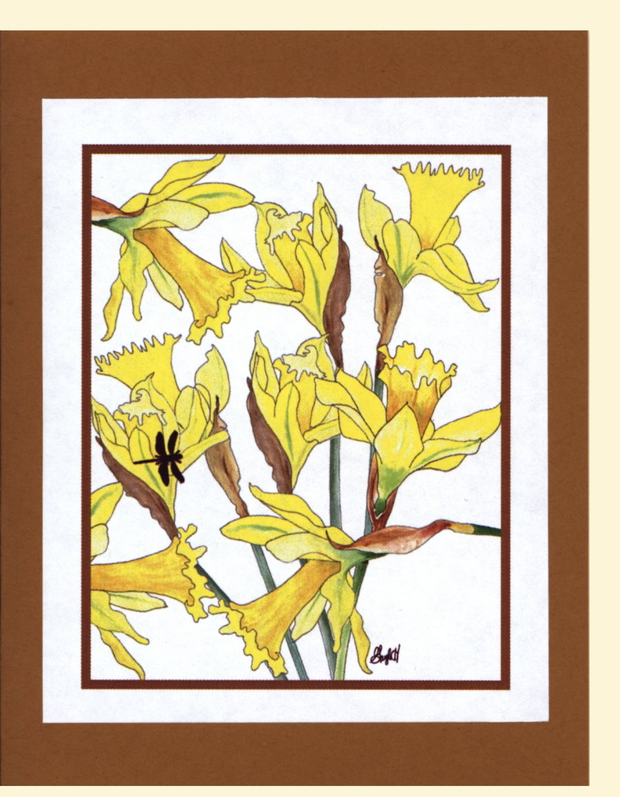 To Order this card Click 'Add to Cart' Button