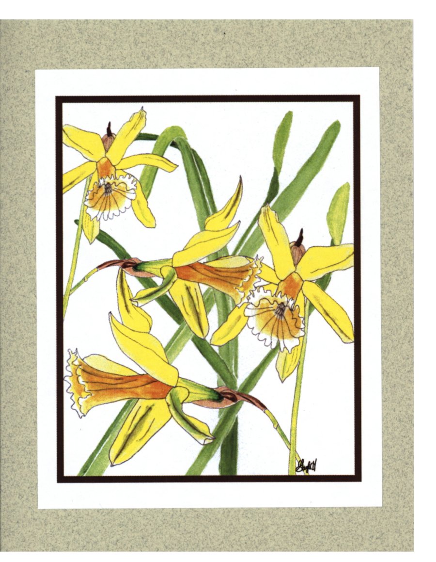 To Order this card Click 'Add to Cart' Button