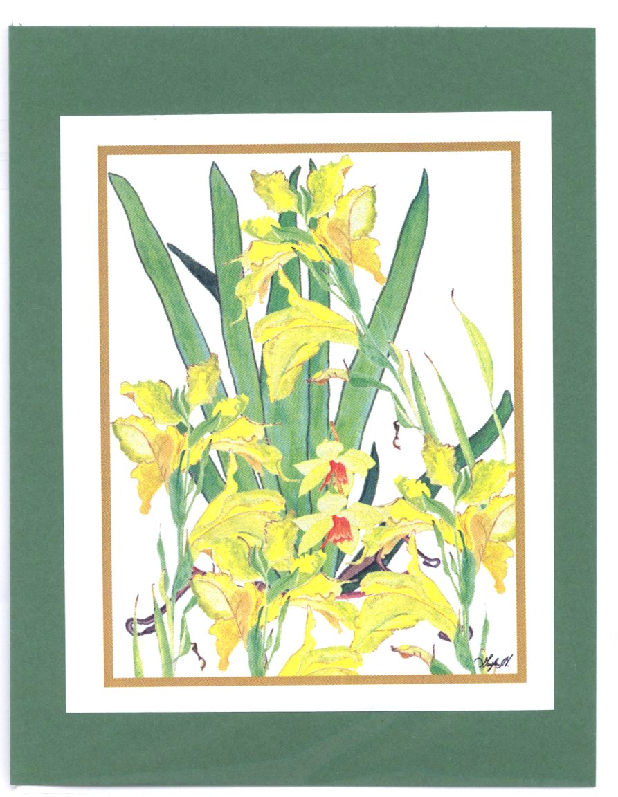 To Order this card Click 'Add to Cart' Button