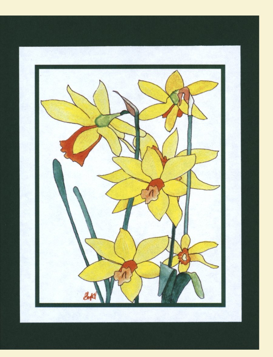 To Order this card Click 'Add to Cart' Button