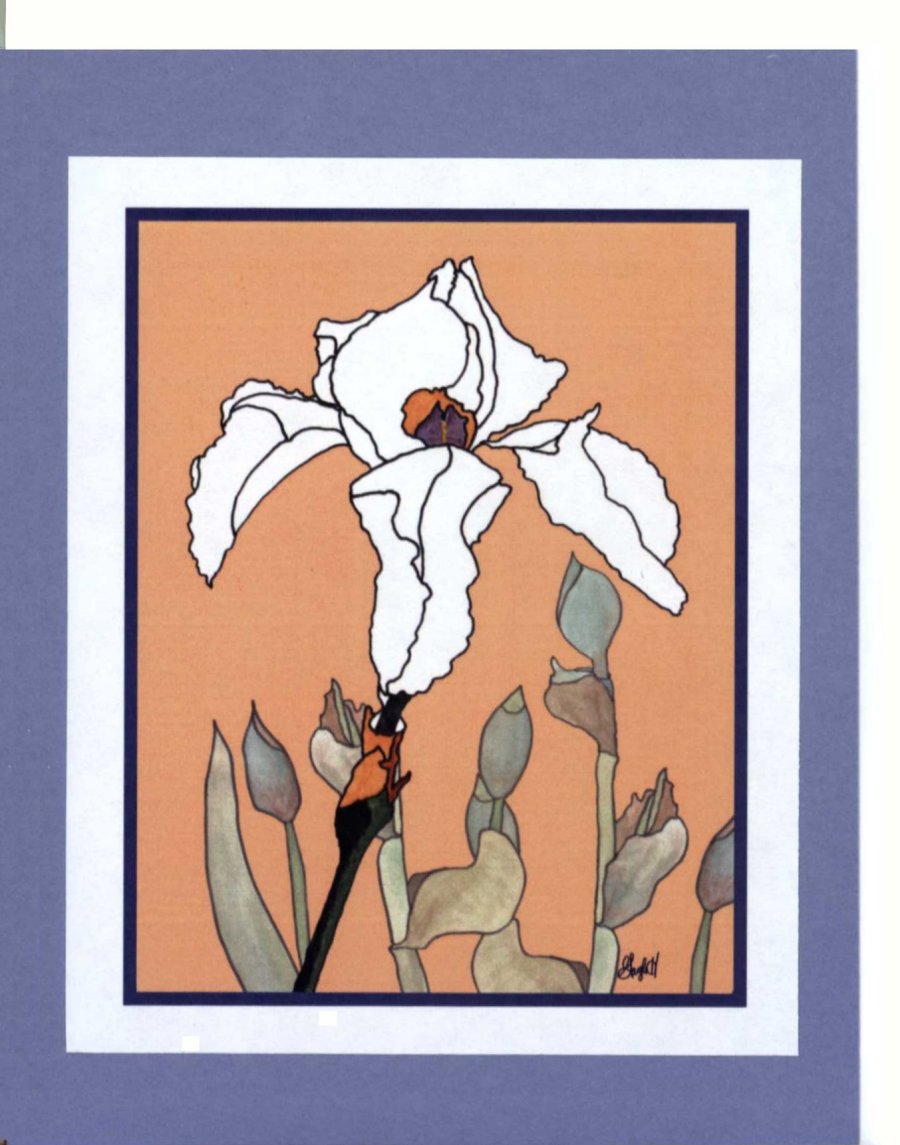 To Order this card Click 'Add to Cart' Button