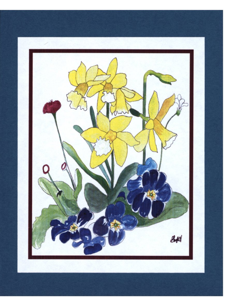 To Order this card Click 'Add to Cart' Button