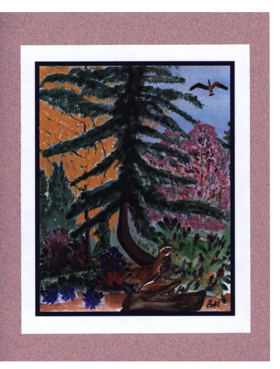 To Order this card Click 'Add to Cart' Button