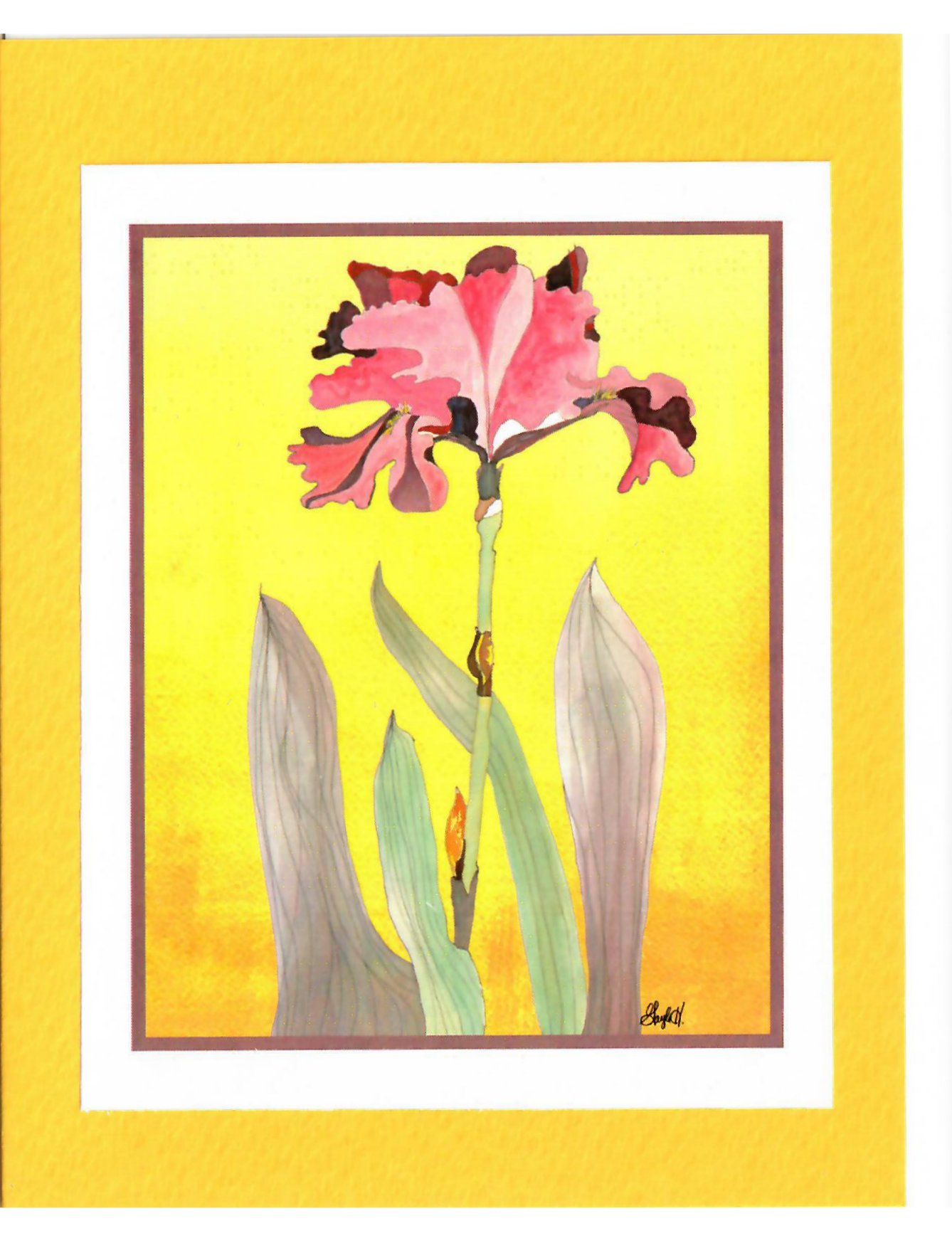 To Order this card Click 'Add to Cart' Button