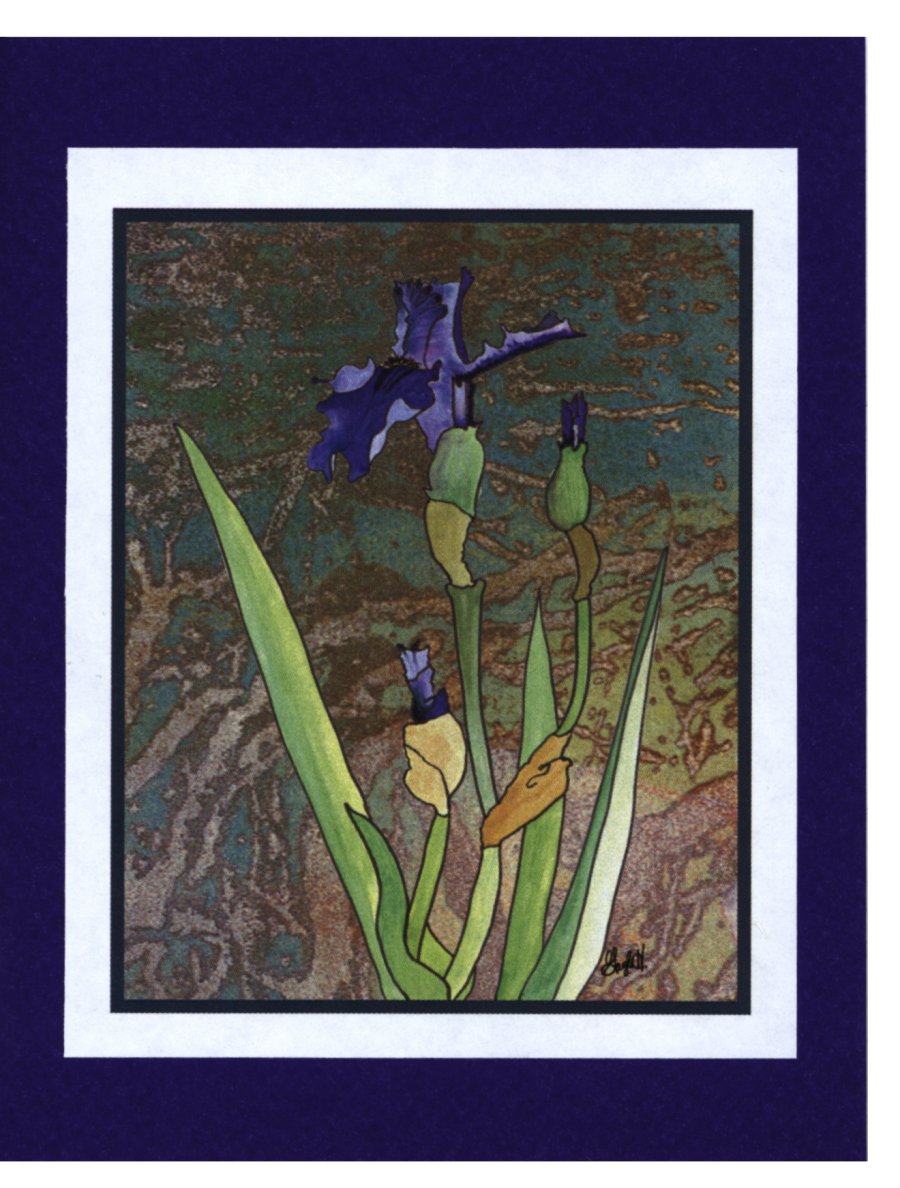 To Order this card Click 'Add to Cart' Button