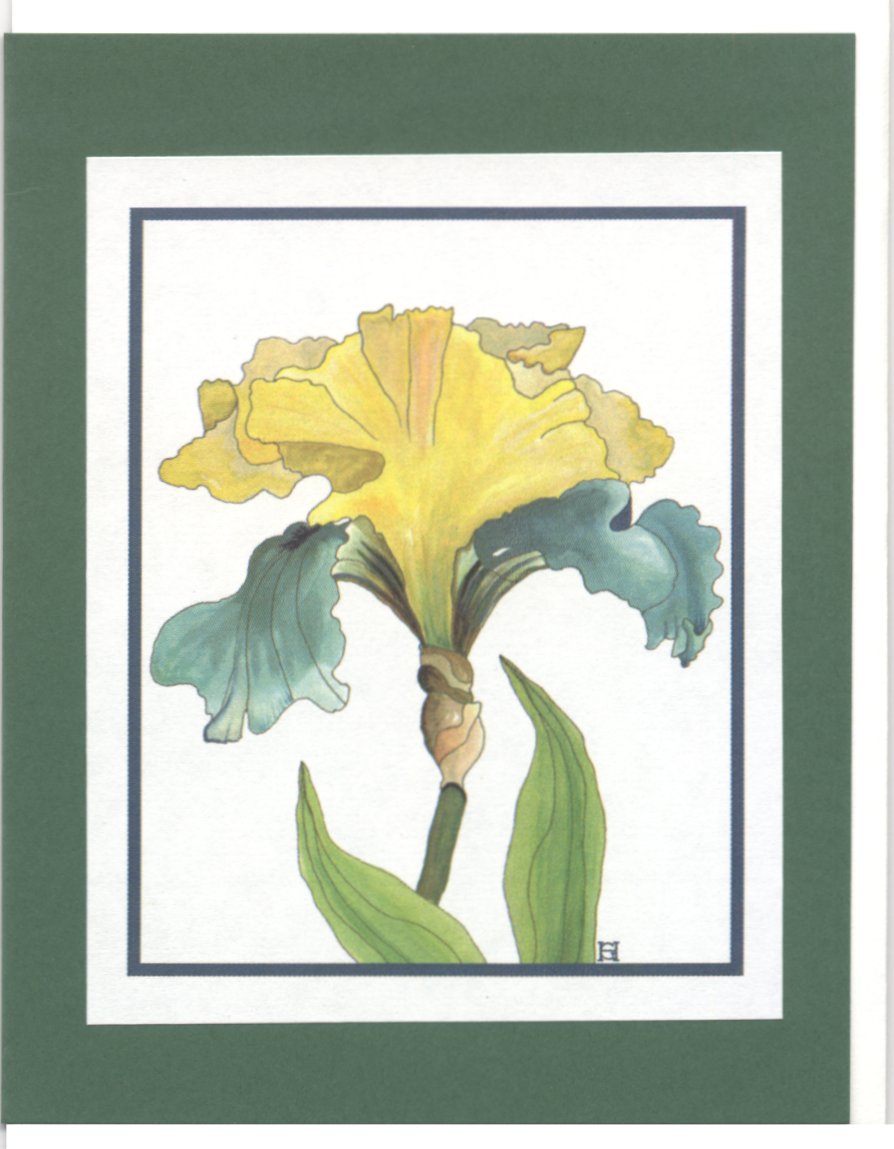 To Order this card Click 'Add to Cart' Button