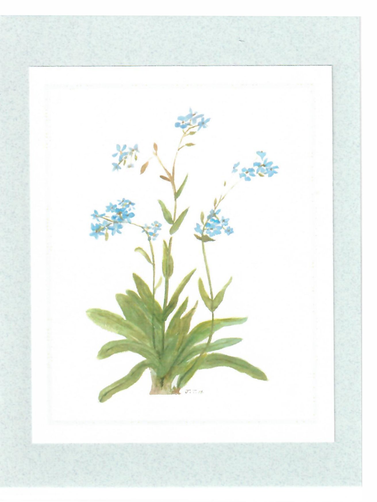 To Order this card Click 'Add to Cart' Button