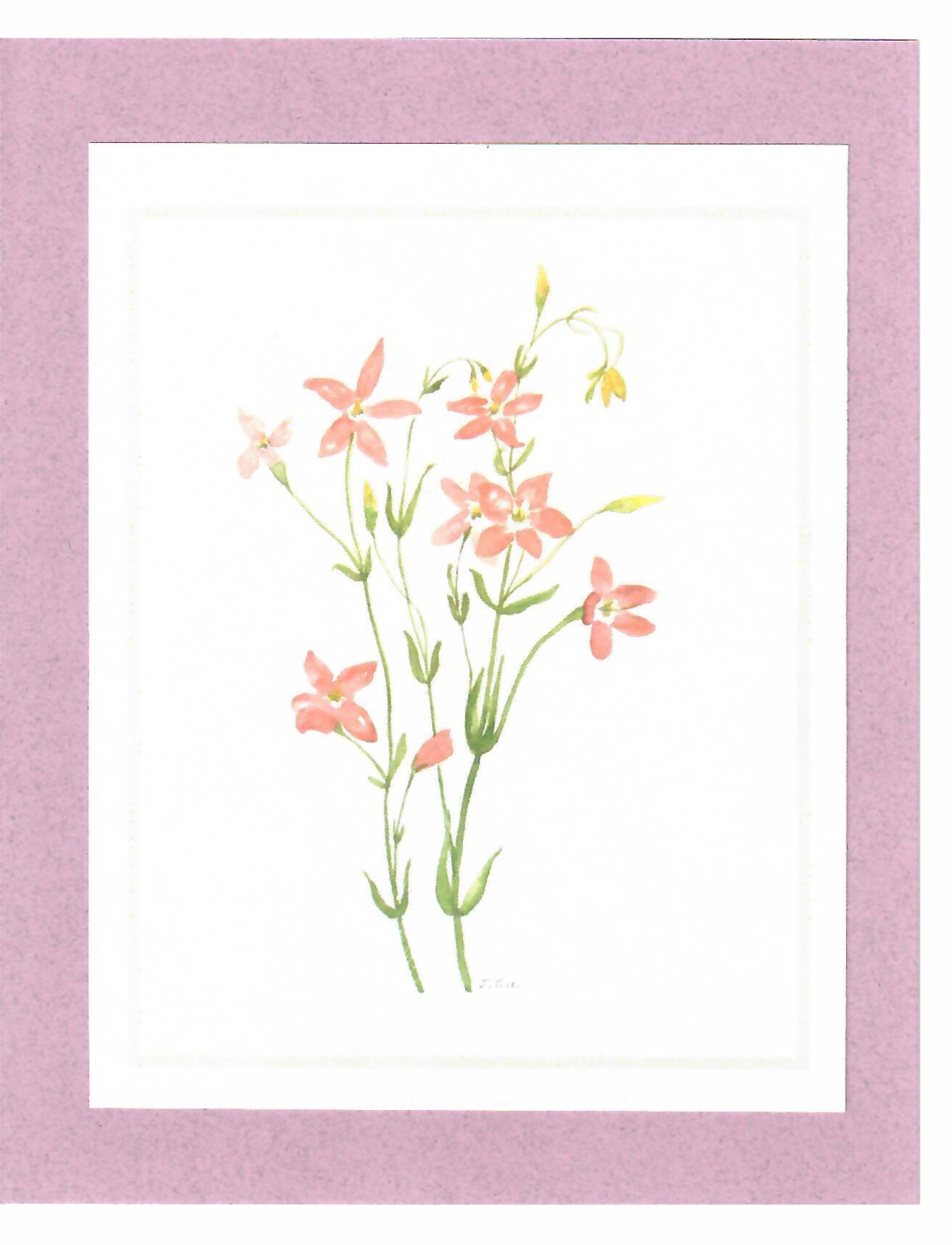 To Order this card Click 'Add to Cart' Button