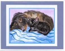 Click Here To View and Order This Card!