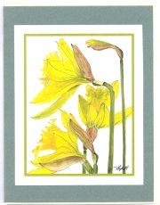 Click Here To View and Order This Card!