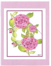 Click Here To View and Order This Card!