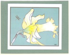 Click Here To View and Order This Card!