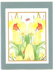 Click Here To View and Order This Card!