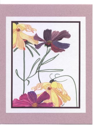 Click Here To View and Order This Card!
