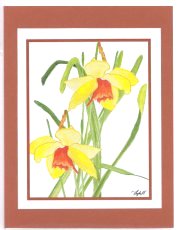 Click Here To View and Order This Card!