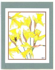 Click Here To View and Order This Card!