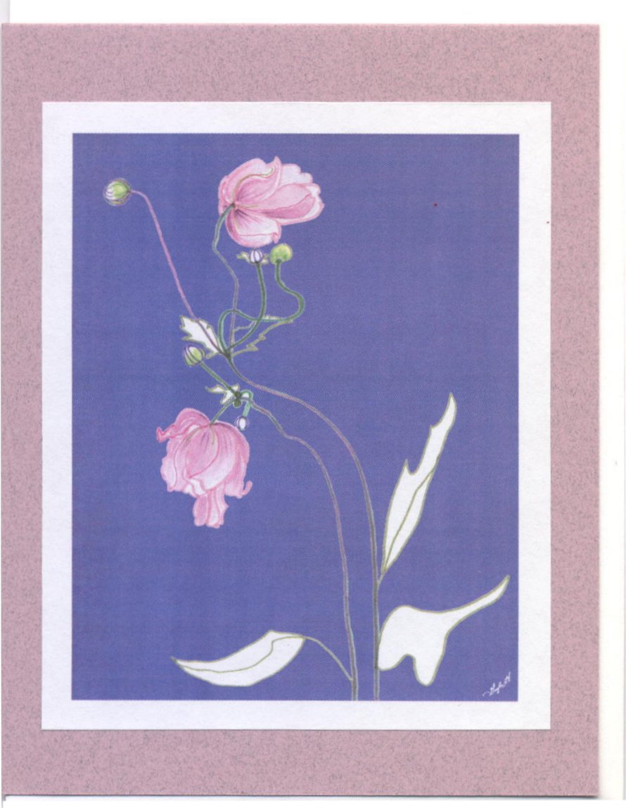 Click Here To View and Order This Card!