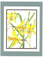 Click Here To View and Order This Card!