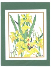 Click Here To View and Order This Card!