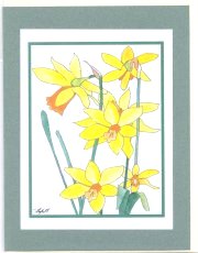 Click Here To View and Order This Card!