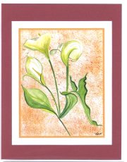 Click Here To View and Order This Card!