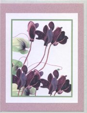 Click Here To View and Order This Card!