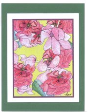 Click Here To View and Order This Card!