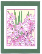 Click Here To View and Order This Card!