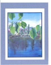 Click Here To View and Order This Card!