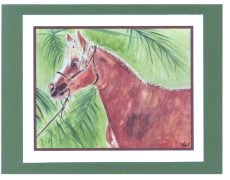 Click Here To View and Order This Card!