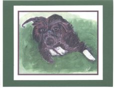 Click Here To View and Order This Card!