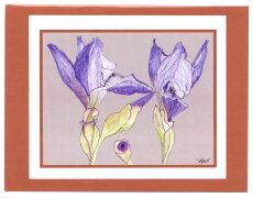 Click Here To View and Order This Card!