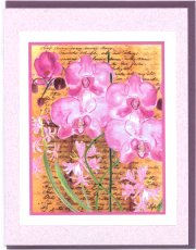 Click Here To View and Order This Card!