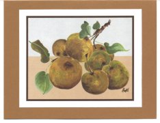 Click Here To View and Order This Card!