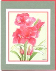 Click Here To View and Order This Card!