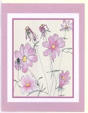 Click Here To View and Order This Card!