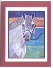 Click Here To View and Order This Card!