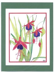 Click Here To View and Order This Card!