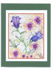 Click Here To View and Order This Card!