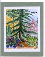 Click Here To View and Order This Card!