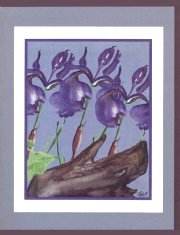 Click Here To View and Order This Card!
